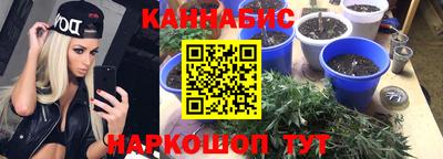 шишки Ливны