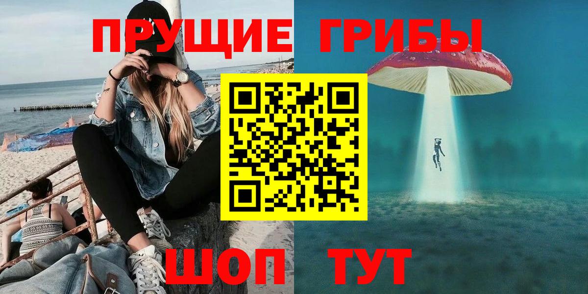 Галлюциногенные грибы Psilocybine cubensis Сальск