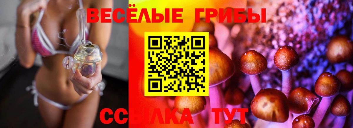 Сальск  Псилоцибиновые грибы прущие грибы  Вход с VPN  Галлюциногенные грибы GOLDEN TEACHER 